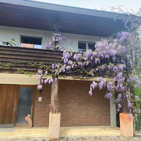 Apartments In Leafy Suburb Kehrsatz エクステリア 写真