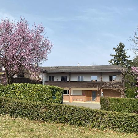 Apartments In Leafy Suburb Kehrsatz エクステリア 写真