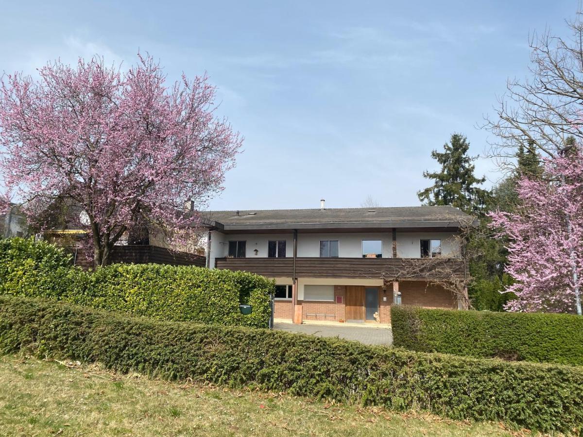 Apartments In Leafy Suburb Kehrsatz エクステリア 写真