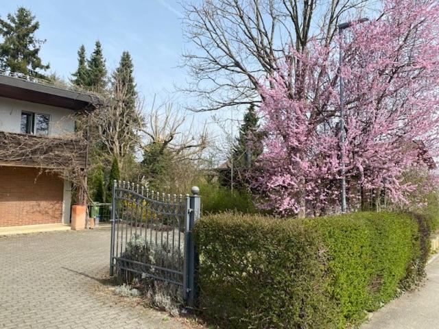 Apartments In Leafy Suburb Kehrsatz エクステリア 写真